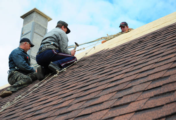 Best Roof Gutter Cleaning  in Hallam, PA